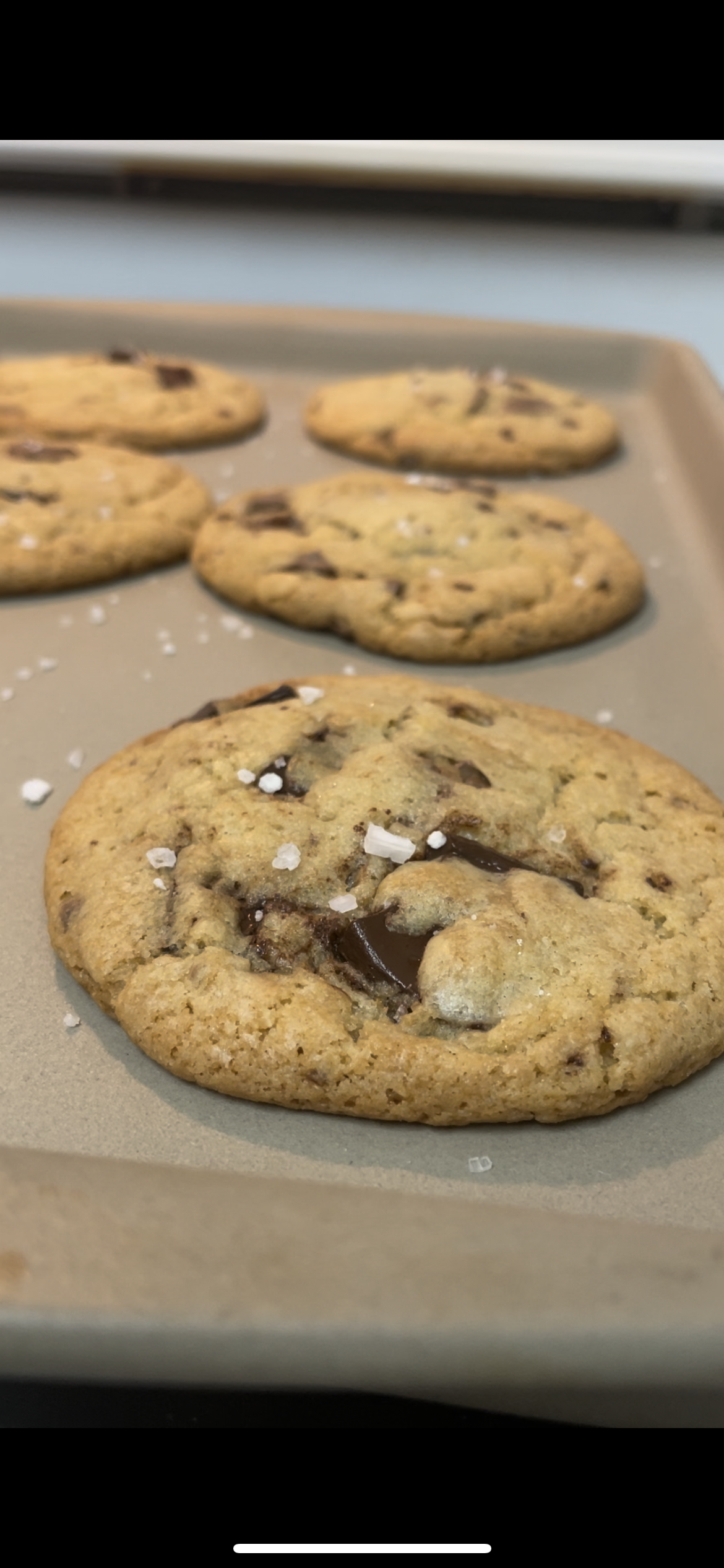 Chocolate Chip Cookie 3-Pack